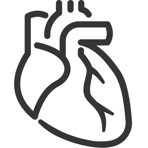 Orthopedics, Traumatology & Vascular Surgery